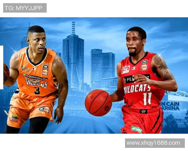 波斯野猫与坎斯大班的精彩对决与生存智慧探讨